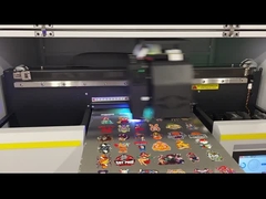 Máy in lai tia cực tím tốc độ cao 3m2 với độ phân giải tối đa 297 * 420 mm với phần mềm PP / PF Rip