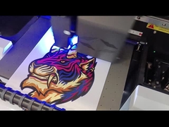 Trình hiển thị phim cuộn